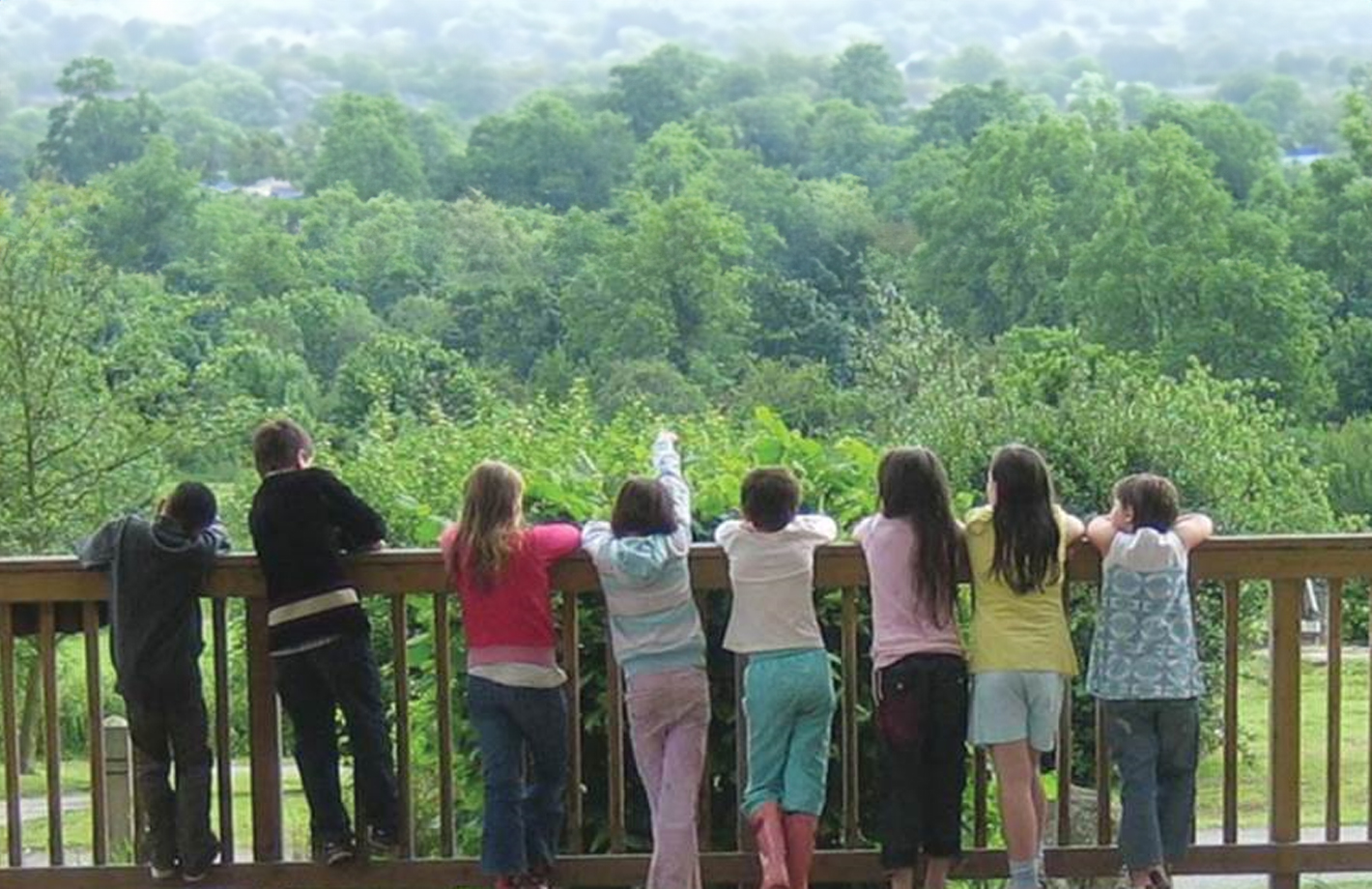 A photograph of 8 young children looking out over a balcony at a forest.